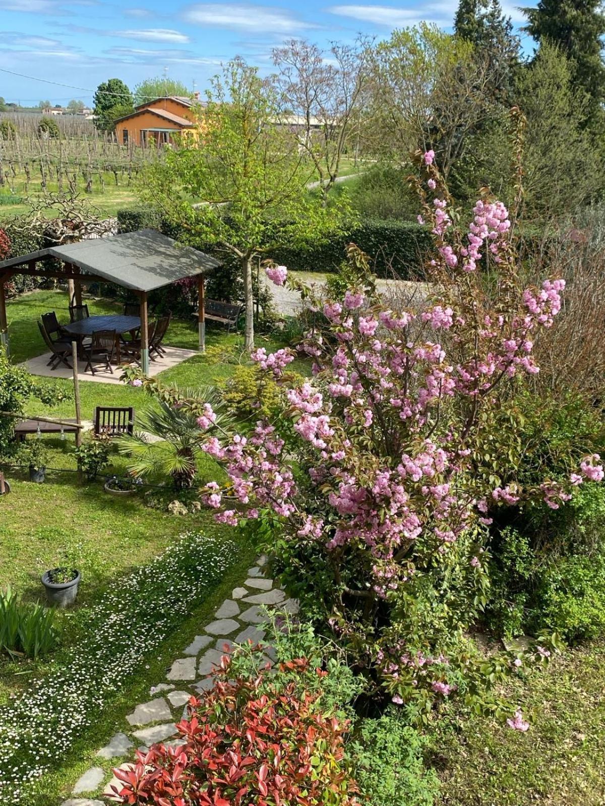 La Casa Di Biba Bed & Breakfast Massa Lombarda Exterior photo